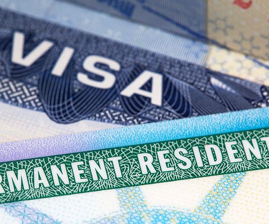 Immigration-Law